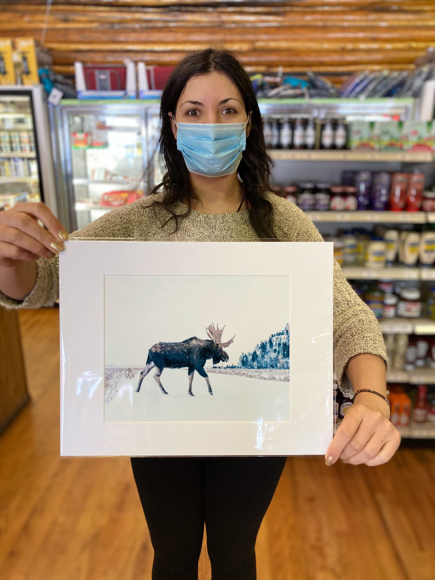 Bull Moose on Road in Winter Photograph - Image 2