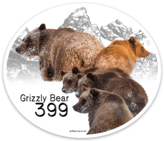 Grizzly Bear 399 Grand Teton National Park Sticker Magnet