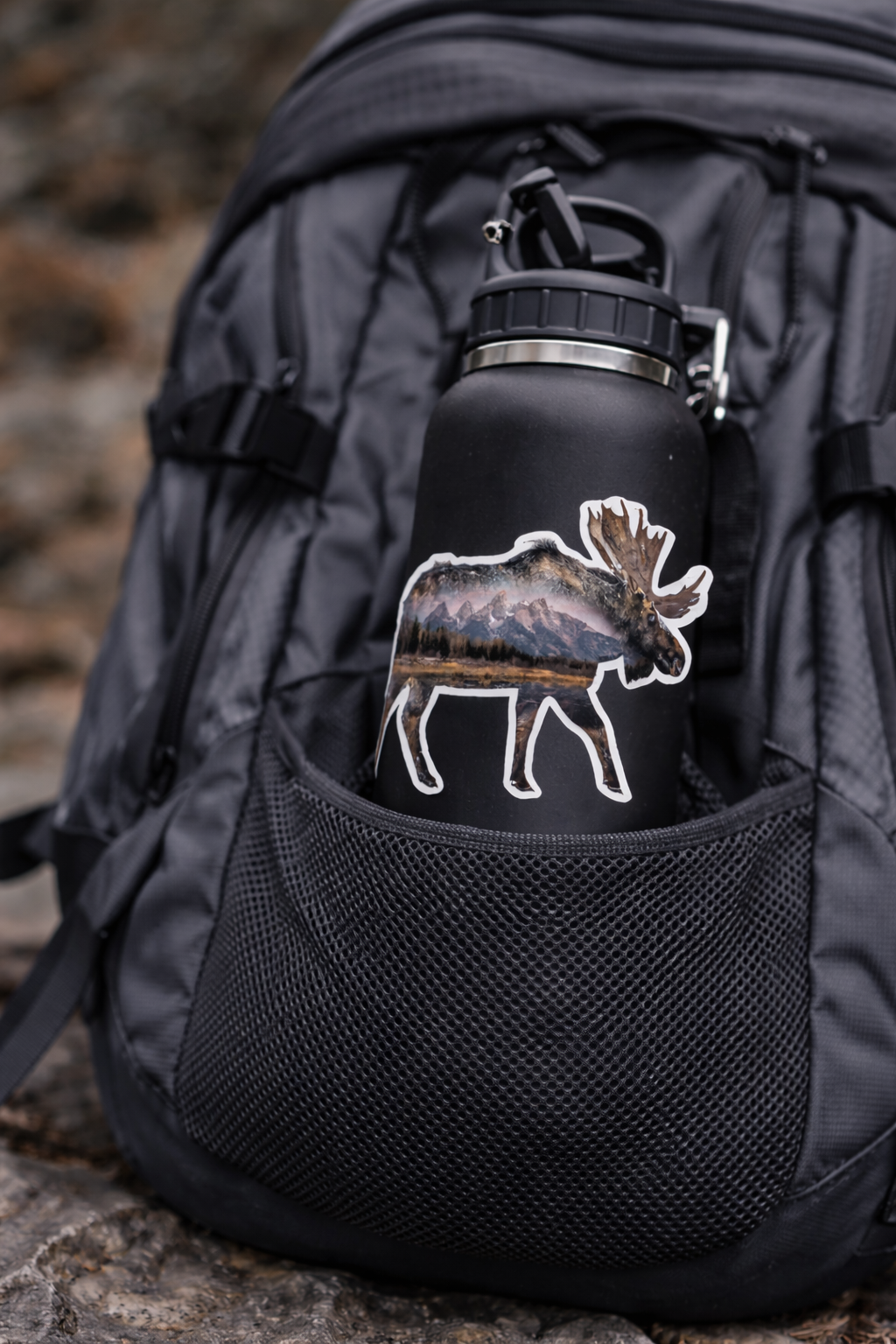 Moose in Grand Teton National Park Sticker