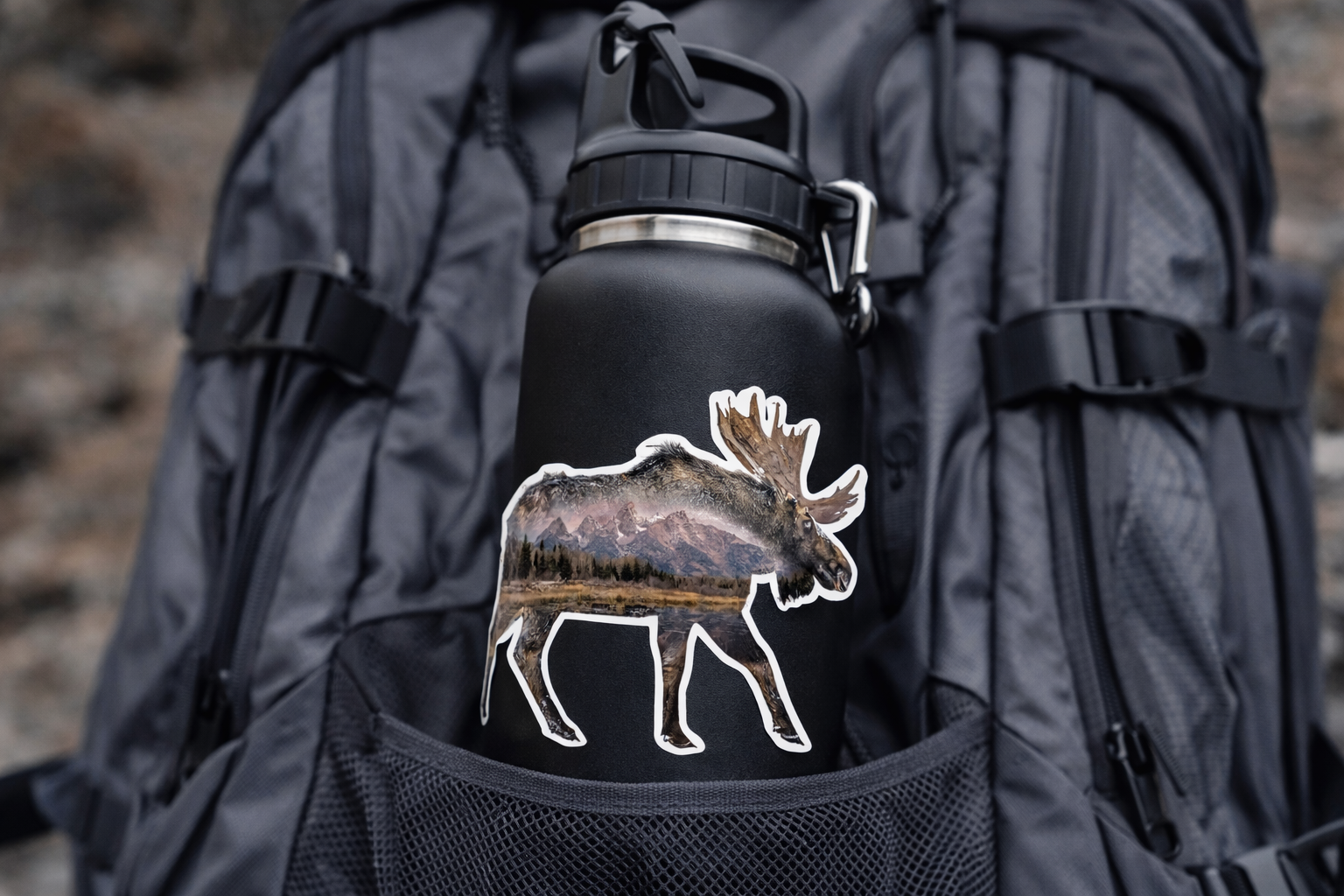 Moose in Grand Teton National Park Sticker