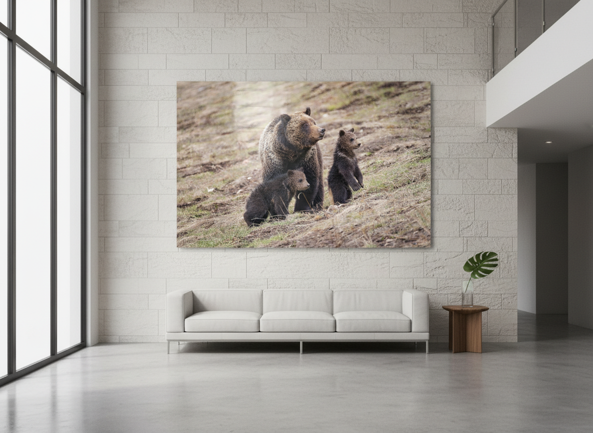 Grizzly Bear Felecia with Cubs Photograph
