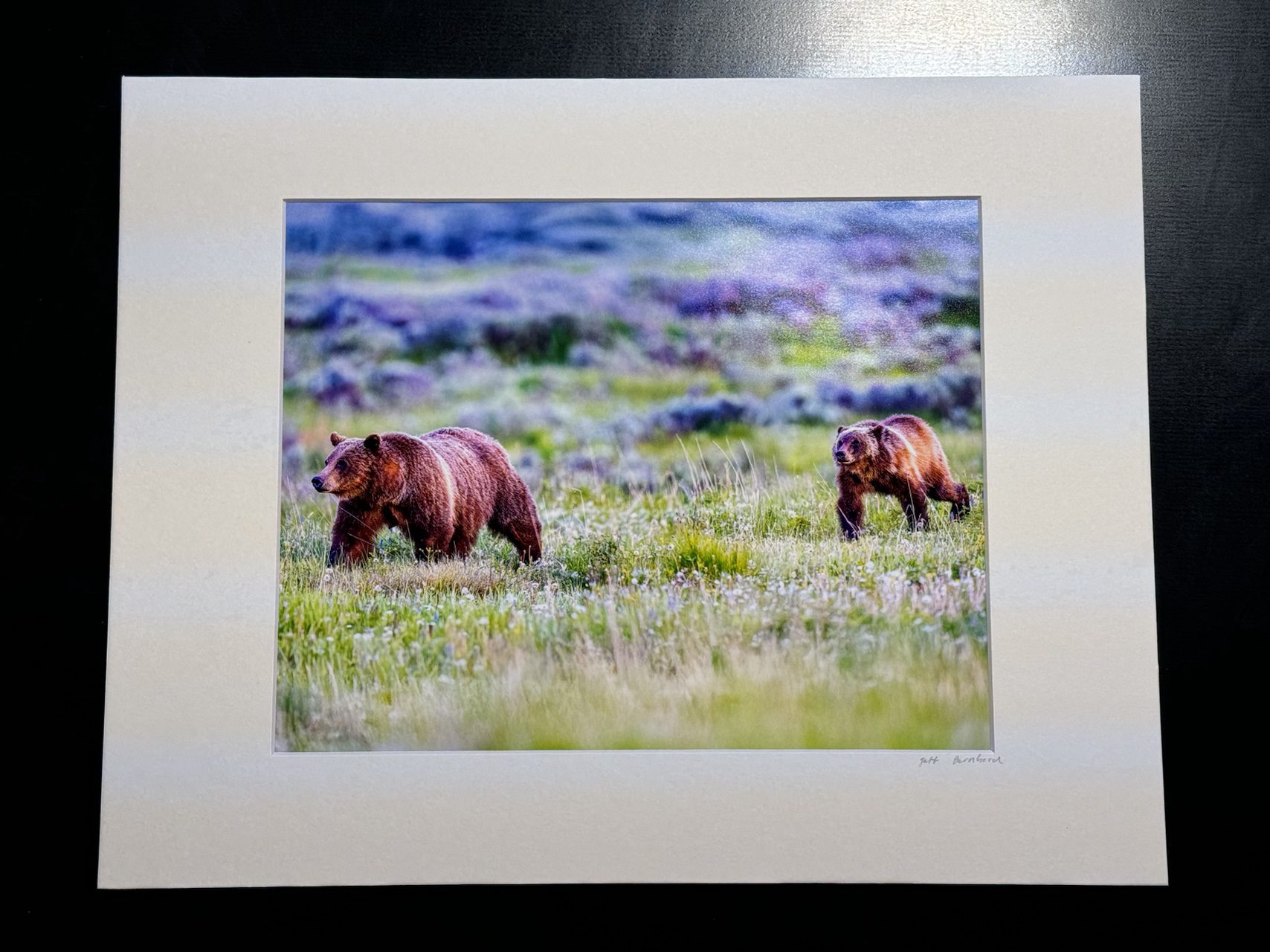 Grizzly Bear 399 and Cub Spirit Grand Teton Wildlife Photograph - Image 3