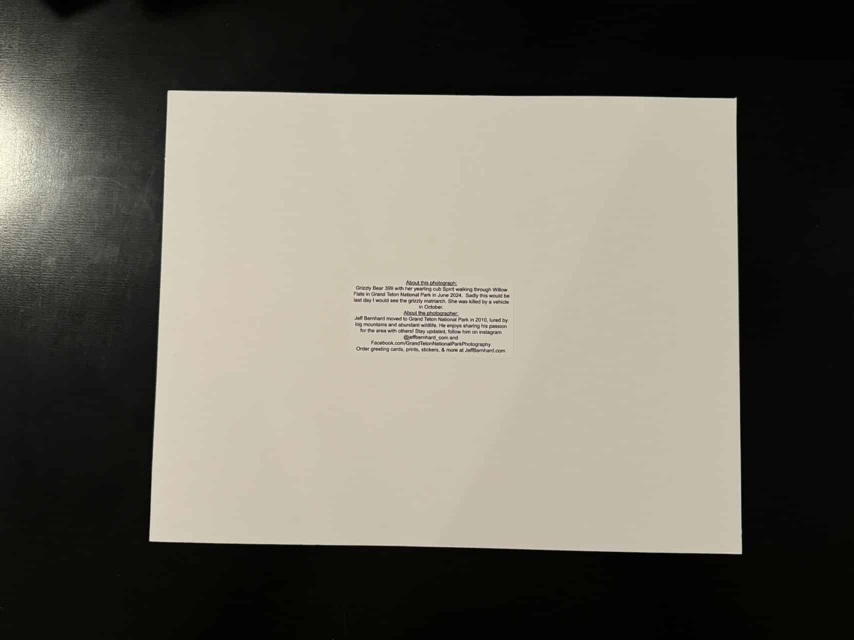 Grizzly Bear 399 and Cub Spirit Grand Teton Wildlife Photograph - Image 4