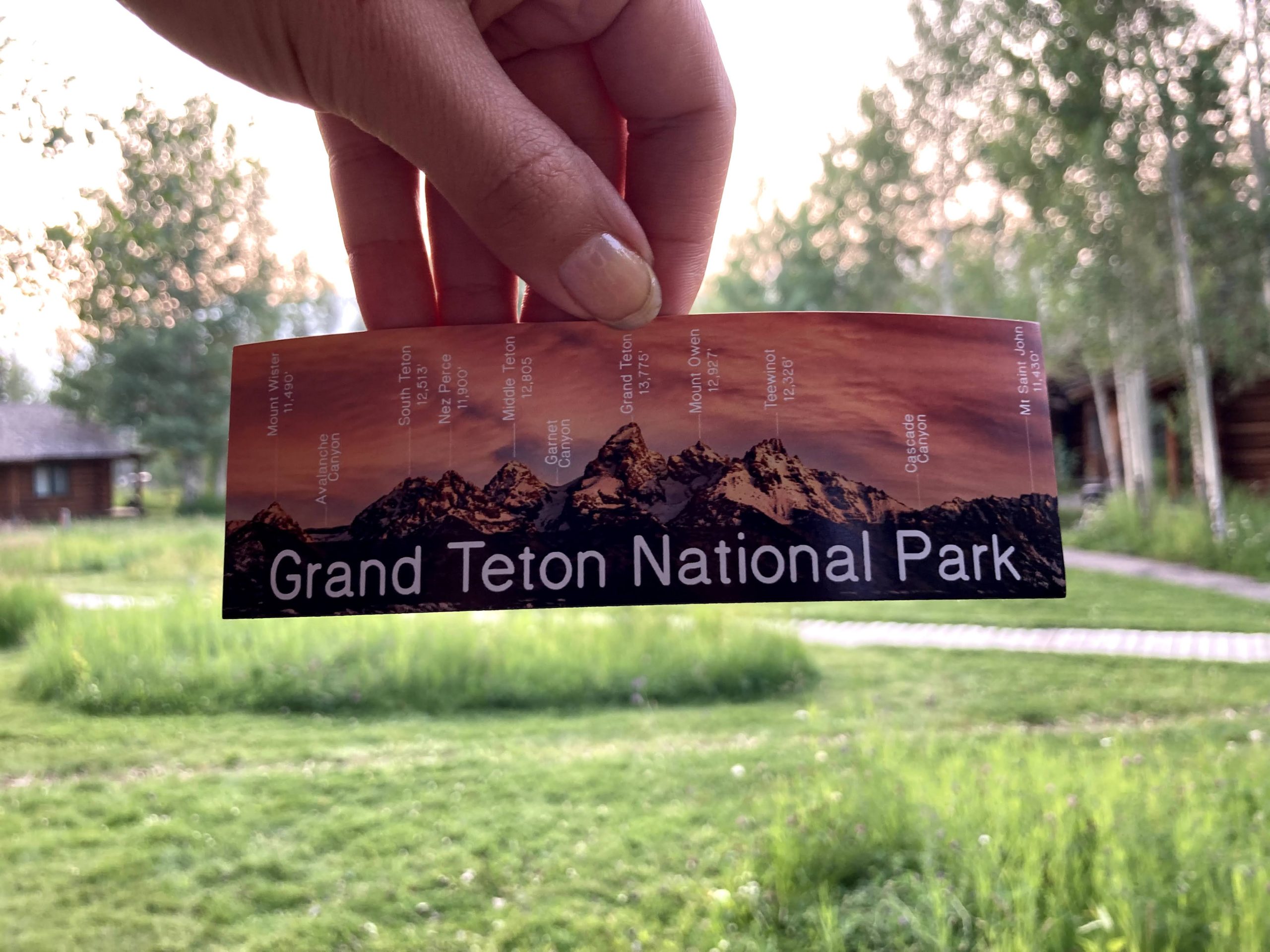 Grand Teton National Park Labels Sticker Magnet