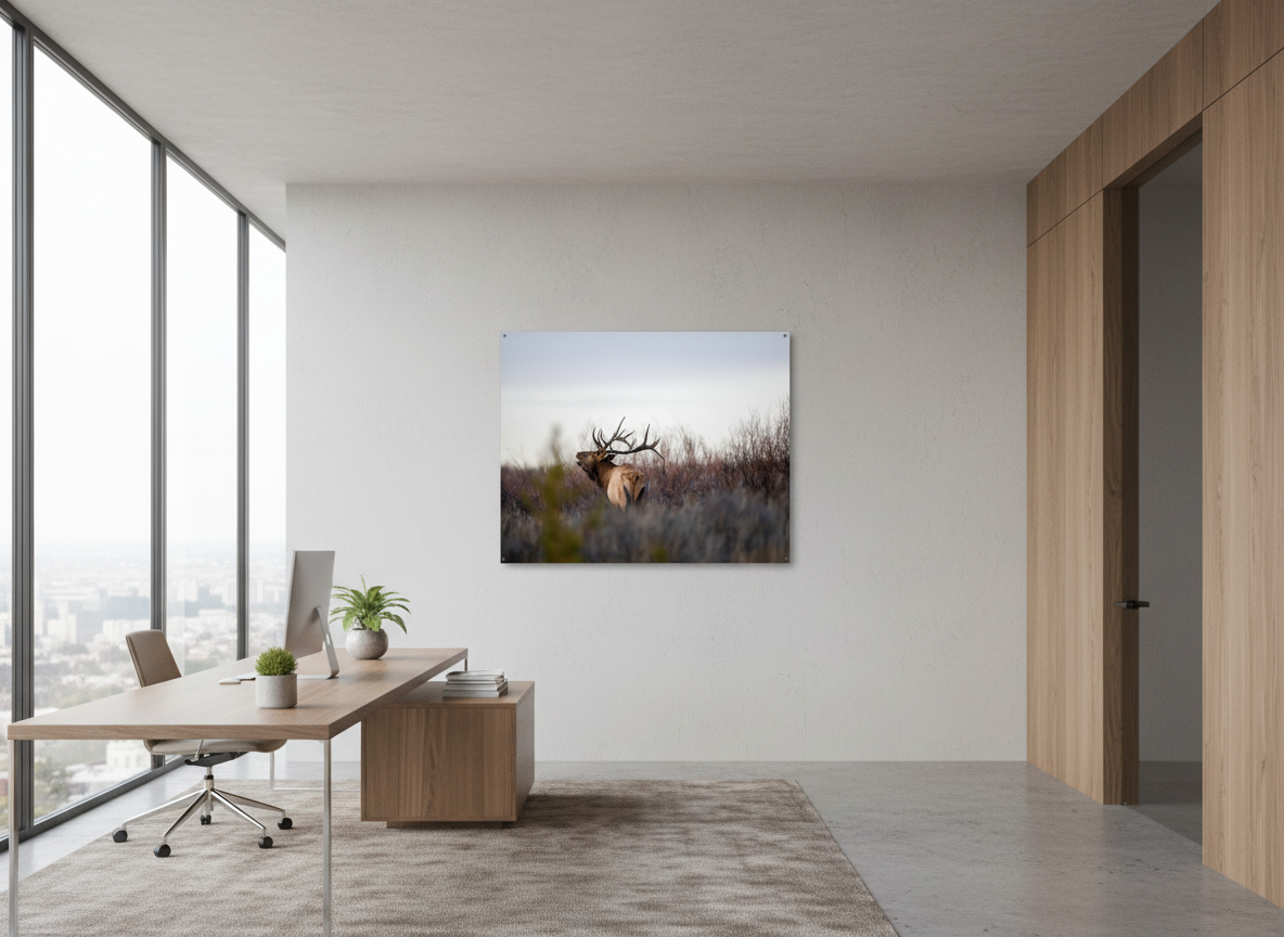 Bull Elk in Grand Teton National Park Photograph