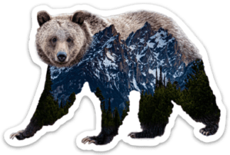 Grizzly Bear Grand Teton National Park Sticker
