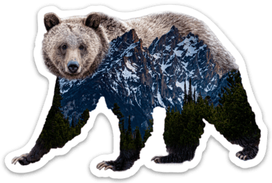 Grizzly Bear Grand Teton National Park Sticker
