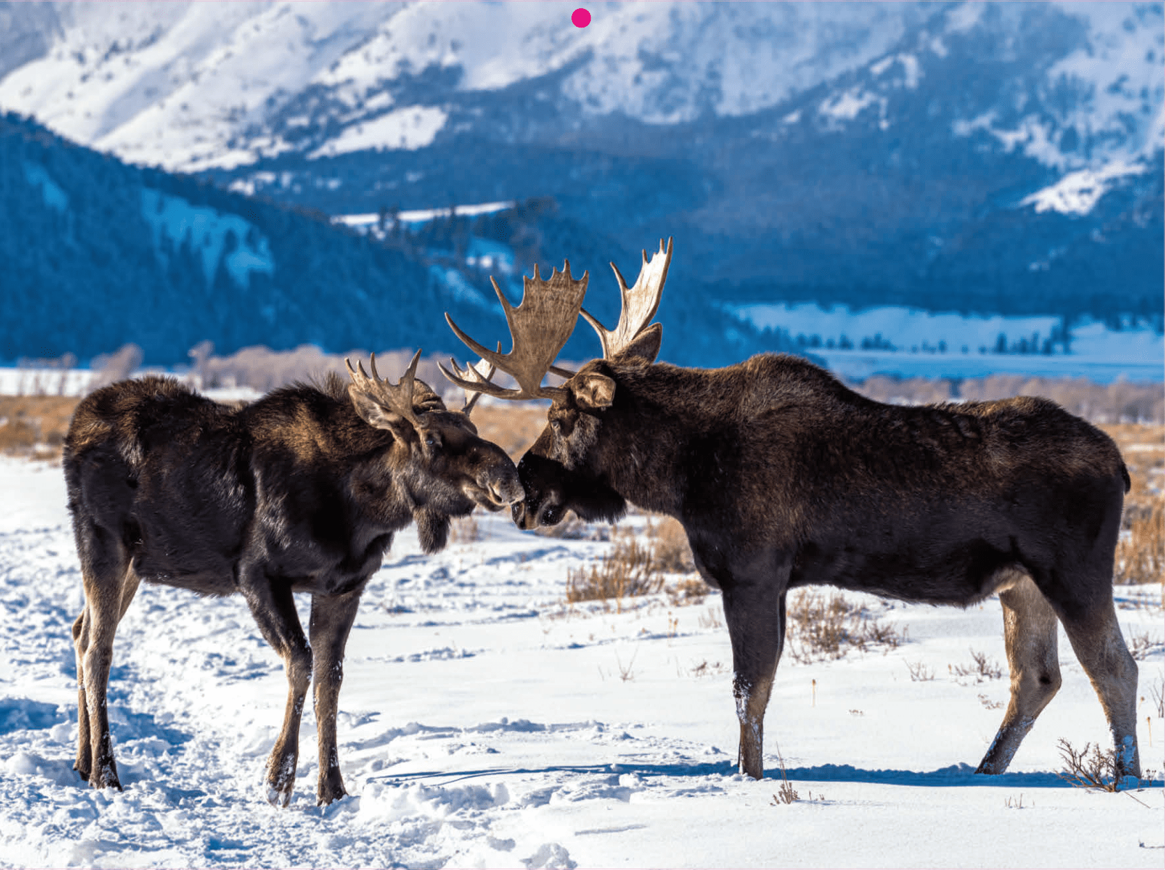 2026 Grand Teton National Park Calendar