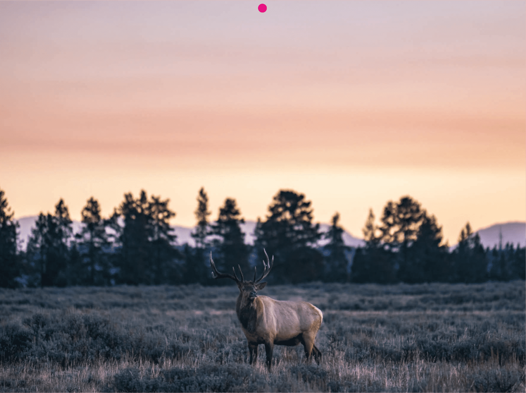 2026 Grand Teton National Park Calendar