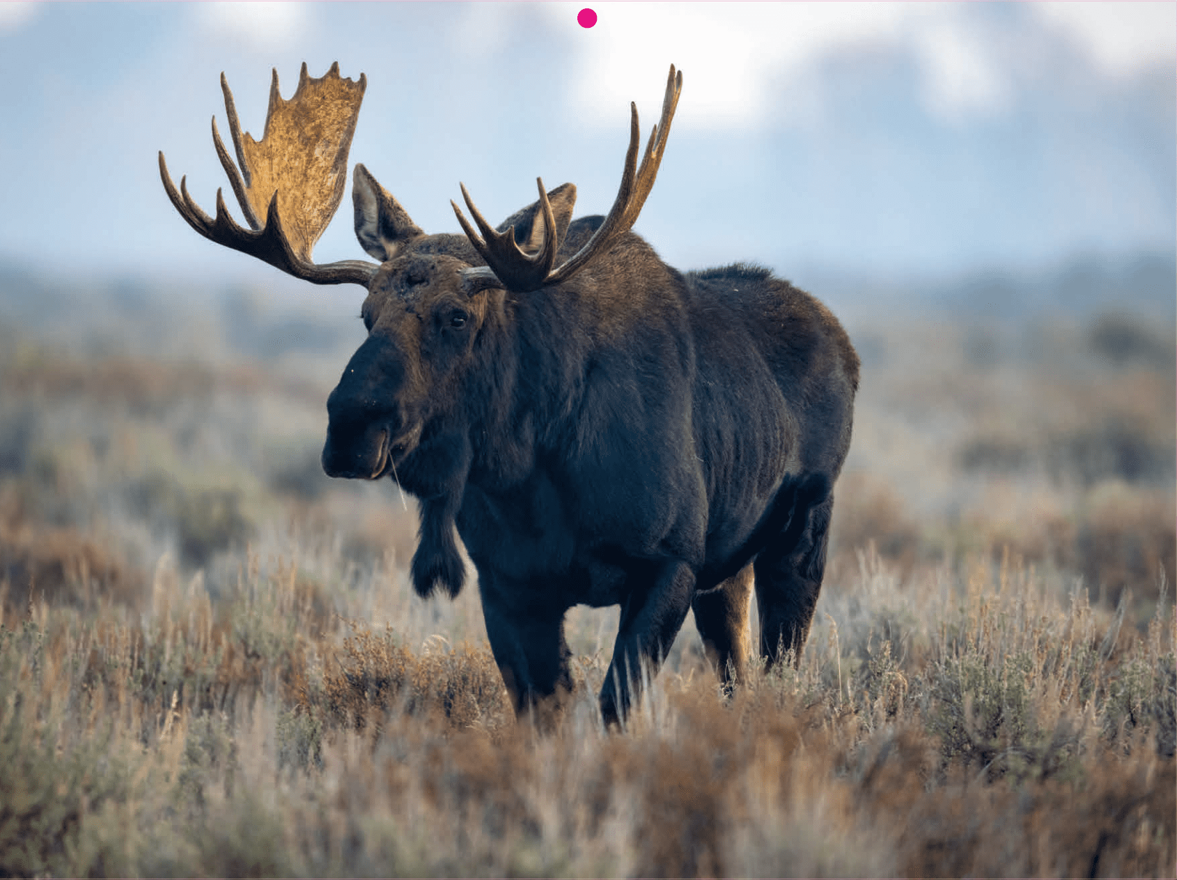 2026 Grand Teton National Park Calendar