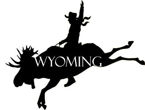 Bucking Bronco Moose Wyoming Sticker