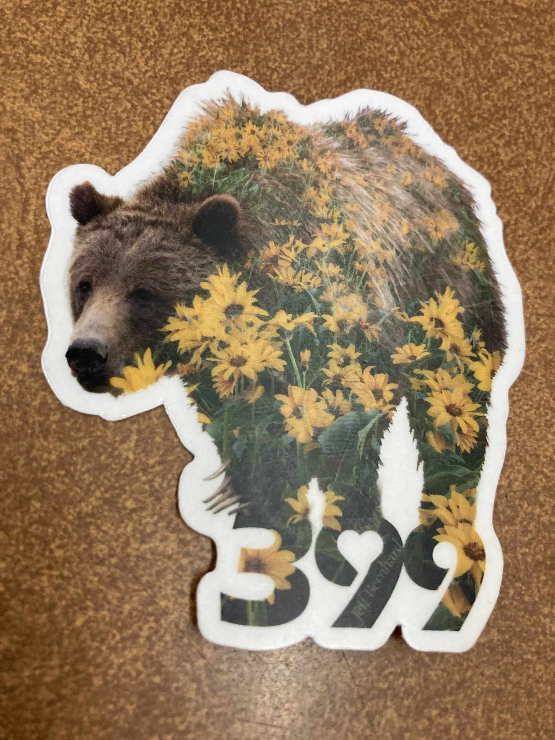 Grizzly Bear 399 in Grand Teton National Park Sticker