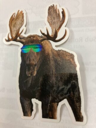 Cool Moose in Grand Teton National Park Sticker