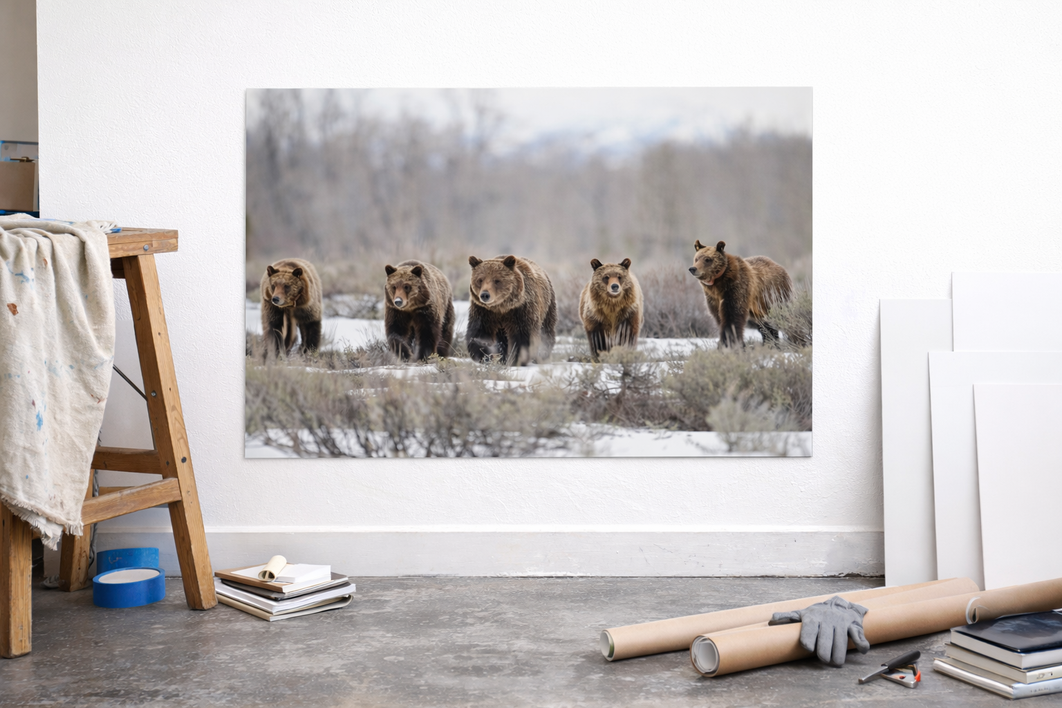 Grizzly Bear 399 in Grand Teton Limited Edition Photo