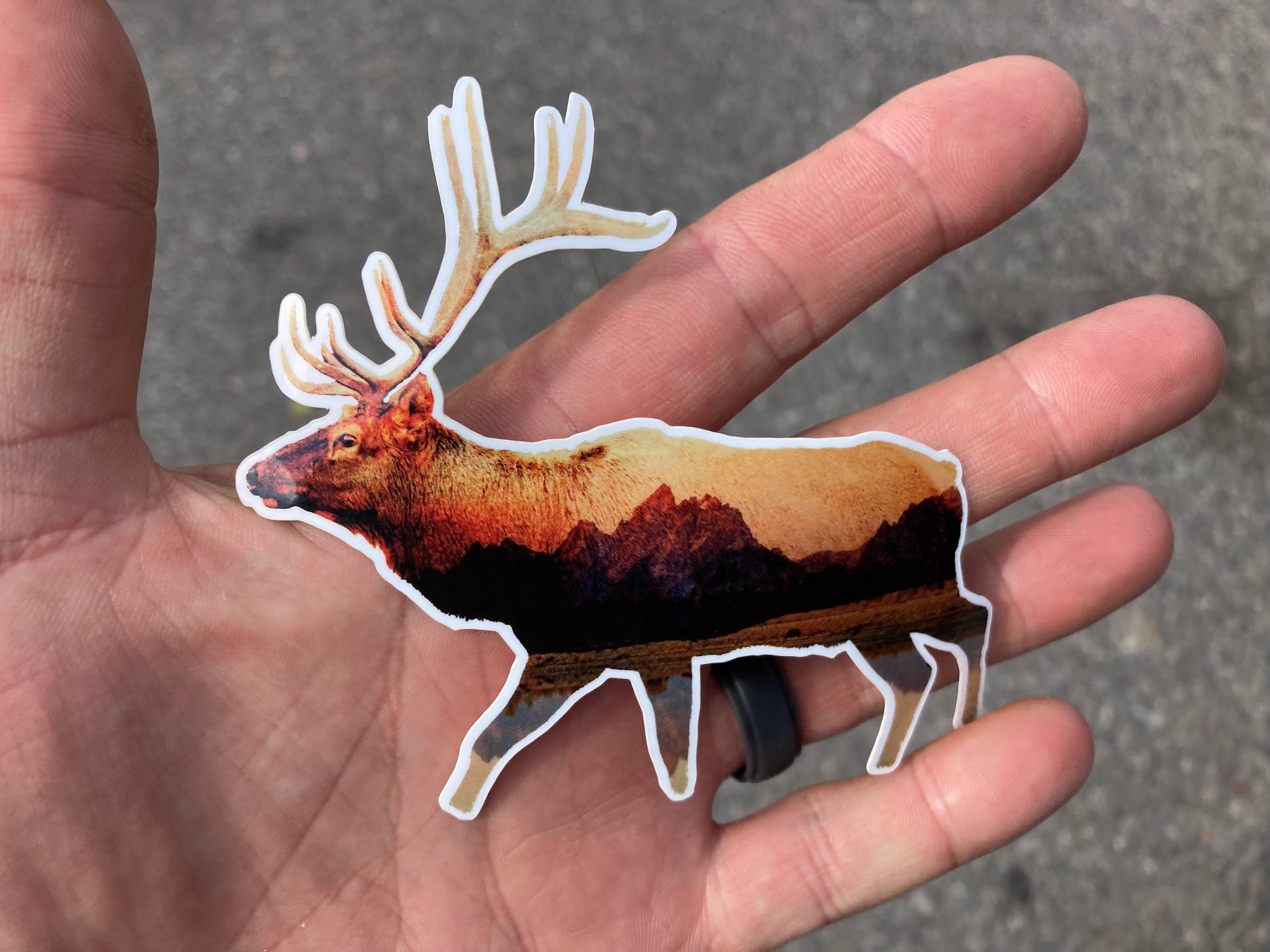 Elk with Tetons Sticker - Image 2