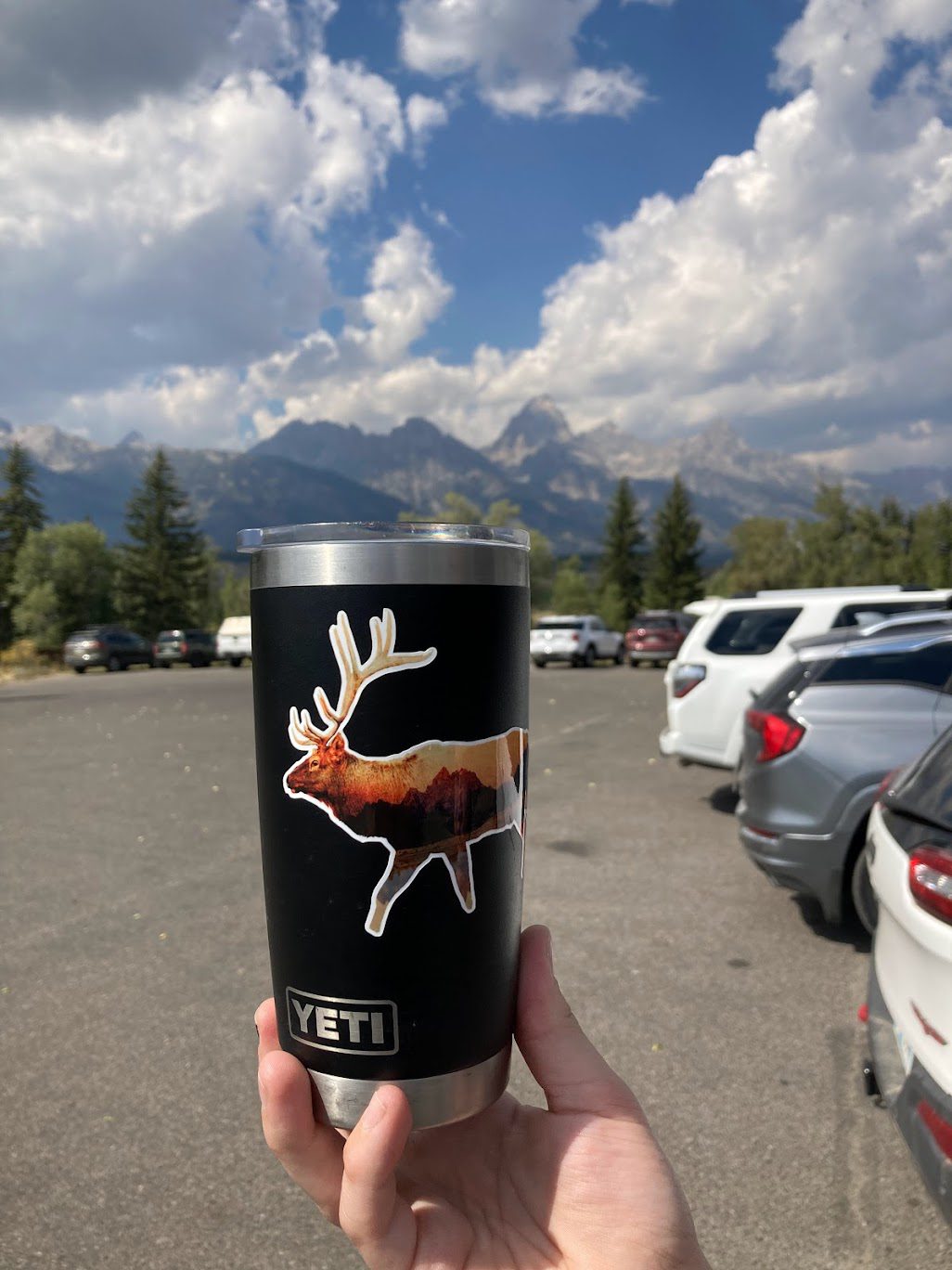 Elk with Tetons Sticker - Image 3