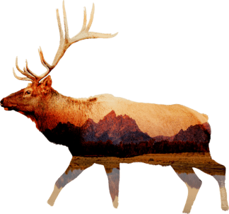 Elk with Tetons Sticker