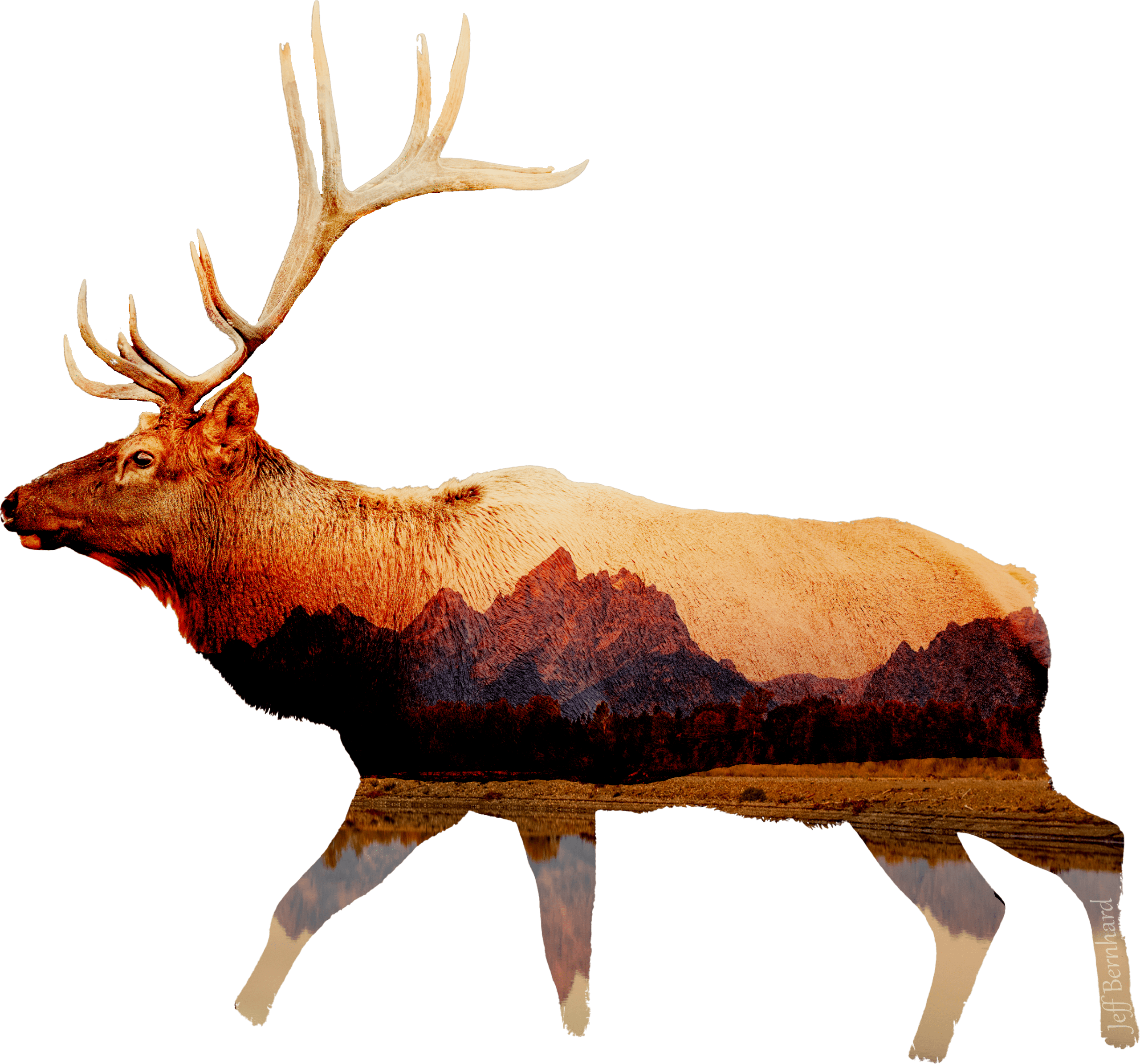 Elk with Tetons Sticker