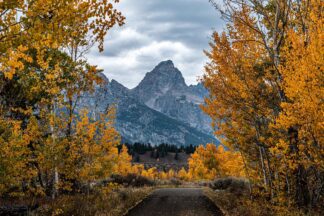 fall colors in grand teton photo