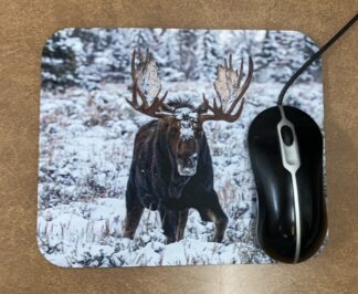 bull moose mouse pad grand teton