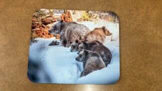 grizzly bear 399 mouse pad