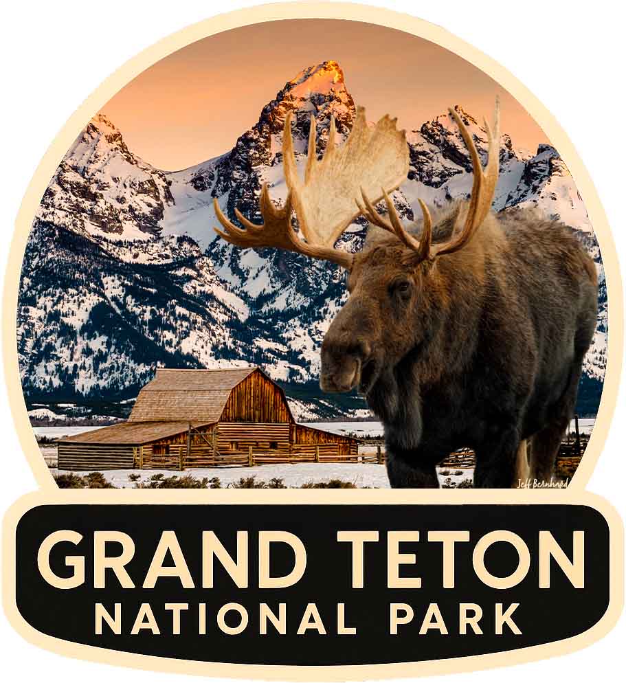 Moulton Barn with Moose in Grand Teton National Park Sticker