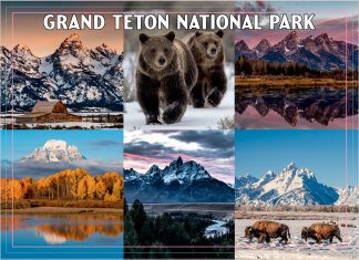 Grand Teton National Park Postcard