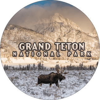 Bull Moose Magnet – Grand Teton National Park
