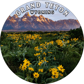 Grand Teton National Park Wildflowers Magnet Wyoming