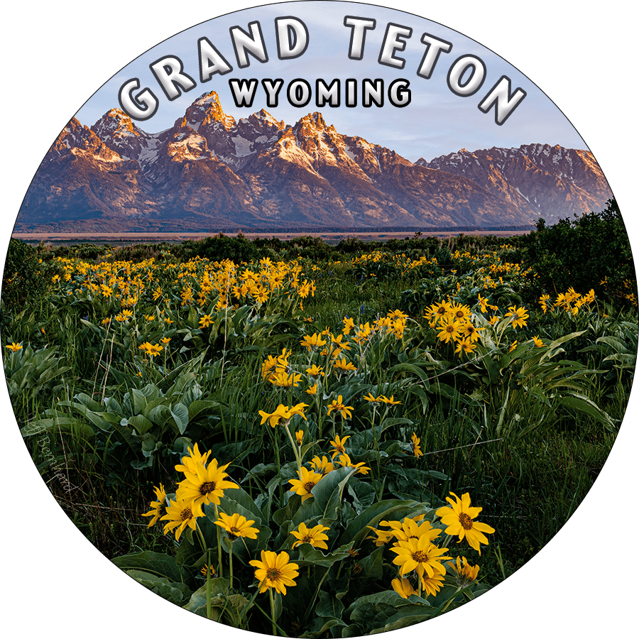 Grand Teton National Park Wildflowers Magnet Wyoming