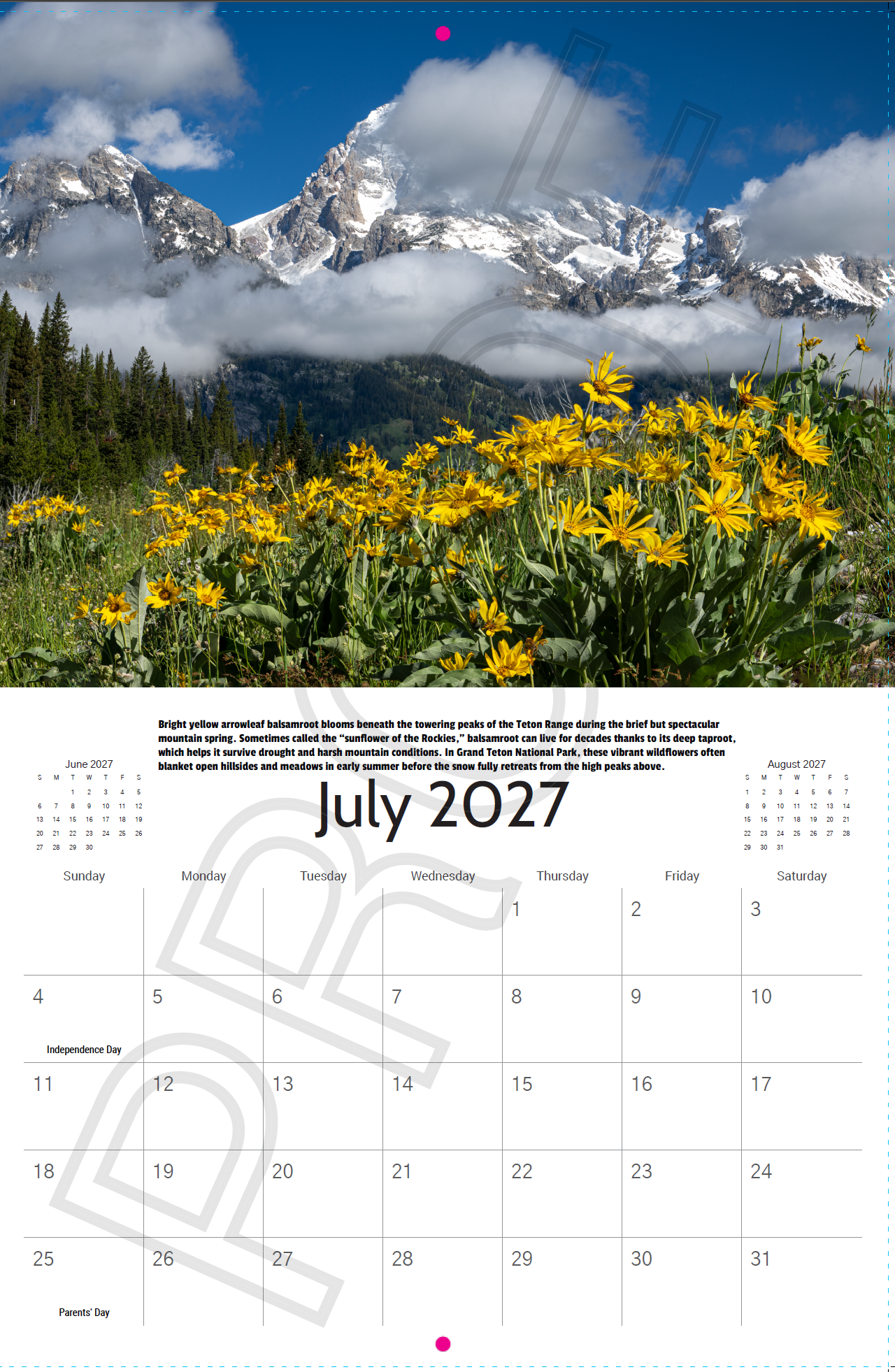Arrowleaf balsamroot wildflowers blooming beneath the Teton Range in Grand Teton National Park featured in the 2027 Wyoming Landscape Calendar.