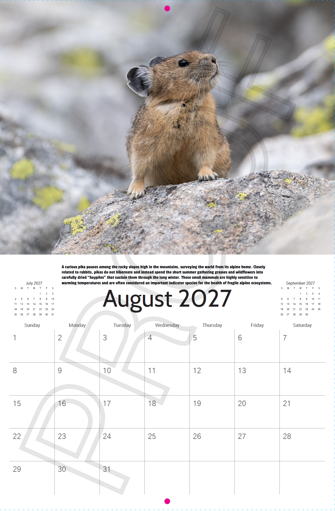 Grand Teton National Park Calendar 2027 Wildlife & Landscape Calendar - Image 6