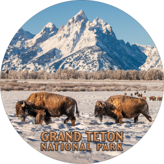 Round metal magnet featuring two bison beneath the snowy Teton Range in Grand Teton National Park.